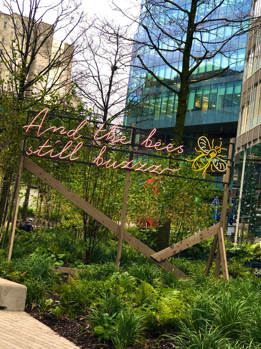 martine_marty's tweet photo. Big walk into #Manchester today from my house. So so sad to see so many businesses closed esp at this busy time of year for retailers. @manarndale so quiet 😞 beautiful day though 🤗 🍁 ☀️ #exercise #health #Autumn #furlough #sanity #imisswork https://t.co/Ux0nLX8KfZ