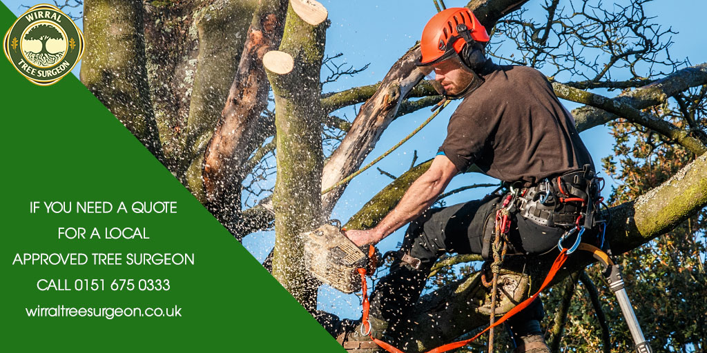 Wirral Tree Surgeon tweet media