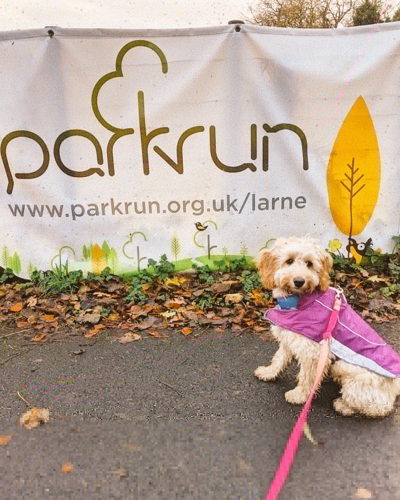 rhobrady's tweet photo. I can't wait to the day #parkrun starts again and I get to bring Maisy along. 🐕‍🦺🏃‍♀️ #missingparkrun #larneparkrun https://t.co/xfJYLhcqvw