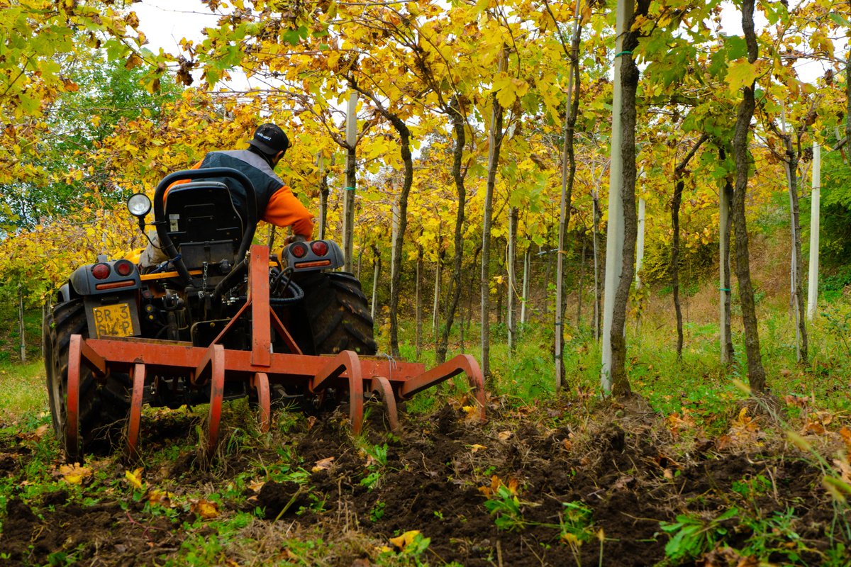 giovannimenti's tweet image. #DECOMPACTING: is the process of cracking and breaking up the compacted layers of #soil formed due to both the processing and the passages on the plot, and the characteristics of the soil. This intervention favors the #circulation of air and the #filtering of #water.