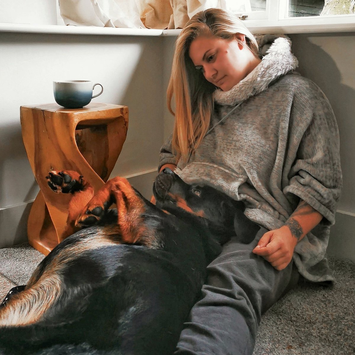 AnimalEvalution's tweet photo. #ThrowbackThursday to when I got cuddle this big softie every day 🖤

#dogs #AdoptDontShop #dogsoftwitter #rottweiler #rottie https://t.co/sjQvAbQFwY