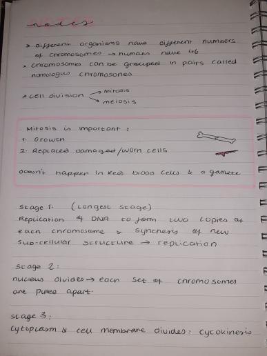 x.codeyyy.x tweet media