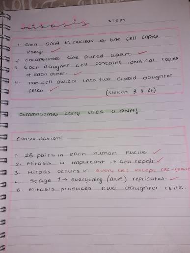 x.codeyyy.x tweet media