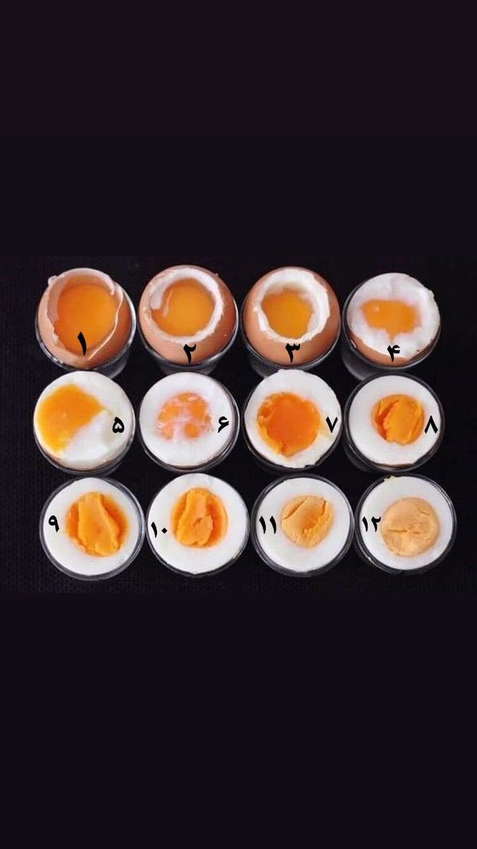 Reza Shamsa tweet media