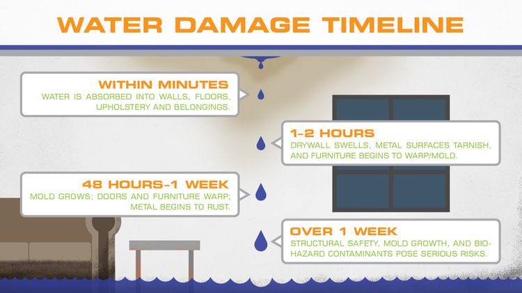 WilsonServpro's tweet photo. There are many things that a homeowner should do in order to minimize the damage caused by a water loss within your home. 

#servpro #heretohelp #likeitneverevenhappened #waterdamage #timeline https://t.co/O9GhpiQCJD