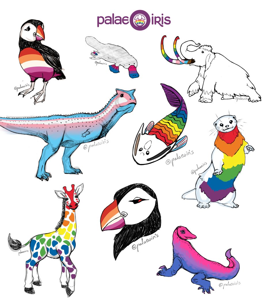 All pride animals sketches we did yesterday for #LGBTQSTEMDay #LGBTSTEMDay Personal use with credit is OK! RT=💜 #LGBTQ #LGBT #Biology #paleontology