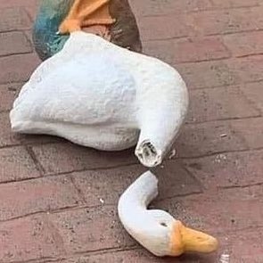 L O L A tweet media