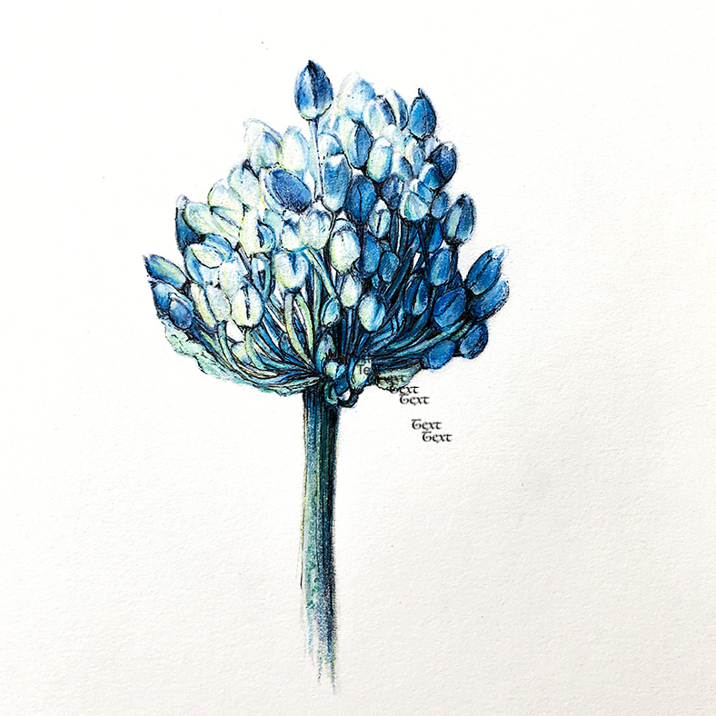 Check out Issue 34 to read Bridget O’Bernstein's piece "LEDA IN A NIGHTCLUB" for a mythic masterpiece:
colum.edu/columbiapoetry…