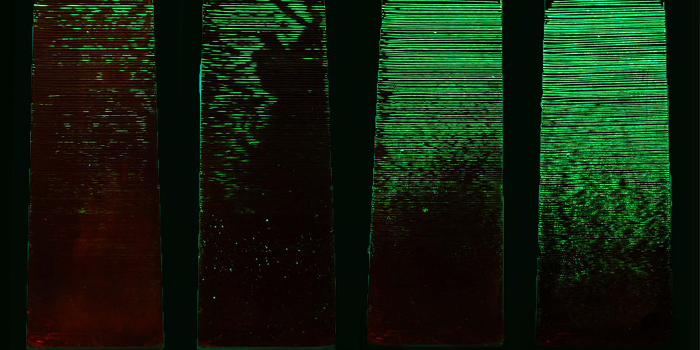 MagnafluxNDT's tweet photo. Understand fluorescent liquid penetrant sensitivity levels and how to find the right one for your application. #ndtlife #whyindt #nondestructivetesting https://t.co/6R784YeeAd https://t.co/IsCH4ffWpc