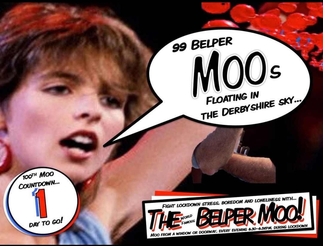 thebelpermoo's tweet photo. WOAH! Just one moo to go until our hundredth! Amazing. 
Huge shout out to the mill lane massive, Nottingham road and the pingle crew! 
Get ready to give it some Welly for the big one!! 
@theJeremyVine @russellhoward @StephLunch 
#thebelpermoo #thegreatbritishmoo #lockdownmoo https://t.co/VJcdvqanQu