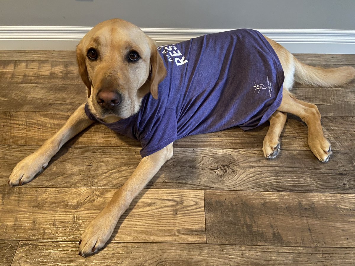 CentralABCAC's tweet photo. Quinn wears his Purple proudly for Family Violence Prevention Month! πππ
#GoPurpleAB
#MadeToRespect
#FamilyViolencePreventionMonth
@CASASC2 https://t.co/EUi9yMfYFu