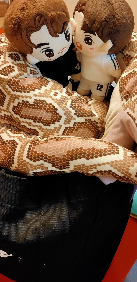 2getherctrls's tweet image. #Play2gether ごっこ😆❤✨
#bbrightvc
#winmetawin
#BrightWin