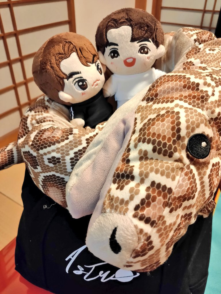 2getherctrls's tweet image. #Play2gether ごっこ😆❤✨
#bbrightvc
#winmetawin
#BrightWin