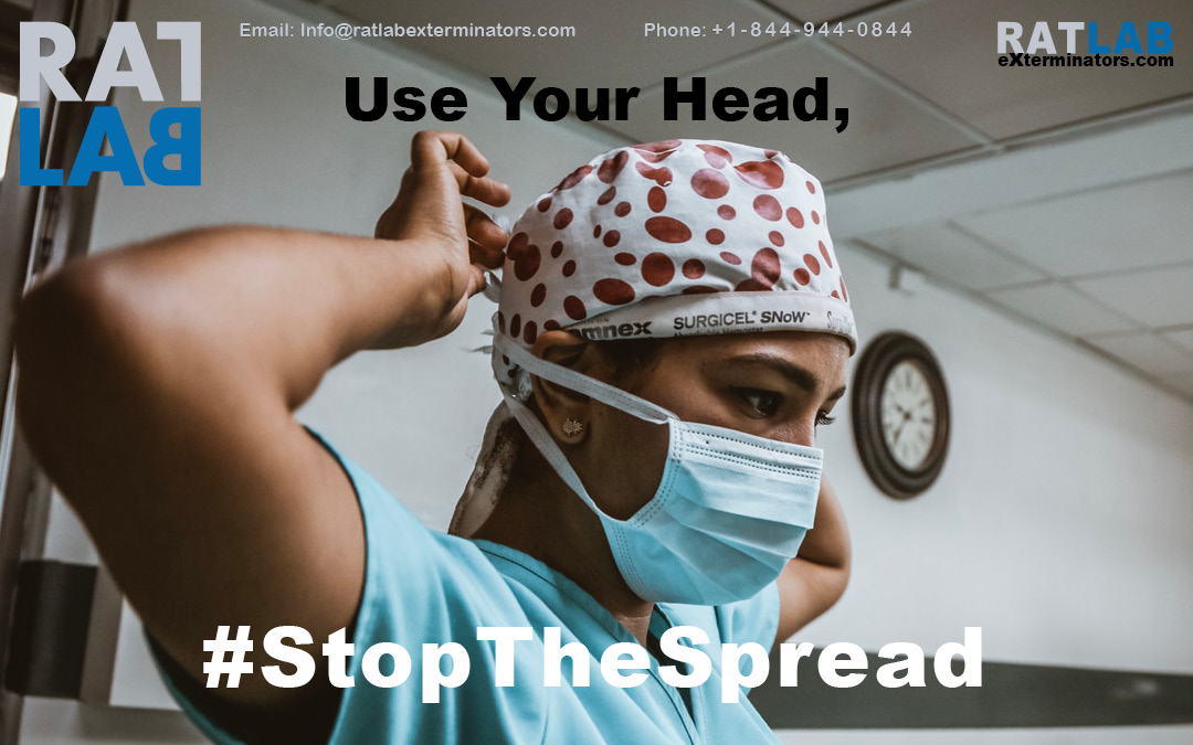Jackimae70's tweet photo. With many regions of Ontario moving into the red zone, let's do our part by staying home as much as possible, wearing masks and washing our hands. Let's get back to green!
#COVID19 #StopTheSpreadOfCOVID19 #pestcontrol #exterminator #rats #mice #opossums #bedbugs #cockroaches https://t.co/COf9rvDjvN