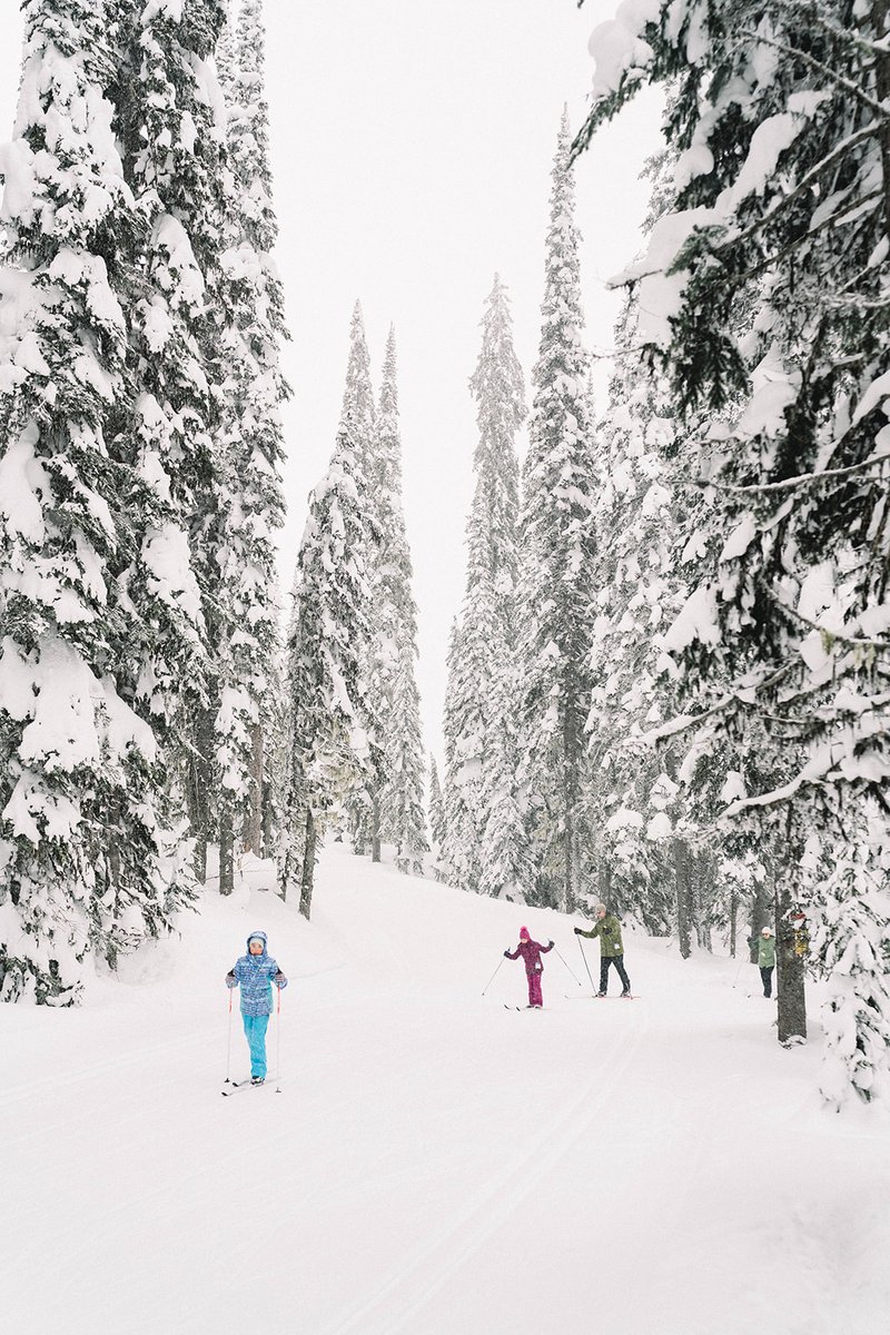 Sovereign Lake tweet media