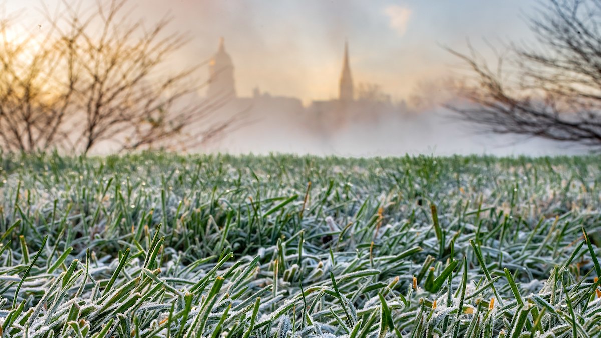 .<a href="/NDStuAffairs/">ND Student Affairs</a> shares information about resources &amp; policy updates between the fall &amp; spring semesters, including:

- Daily Health Checks
- Mental Health Resources
- Campus Operating Hours

Undergraduate Students: go.nd.edu/UndergraduateW…
Graduate Students: go.nd.edu/GraduateStuden…