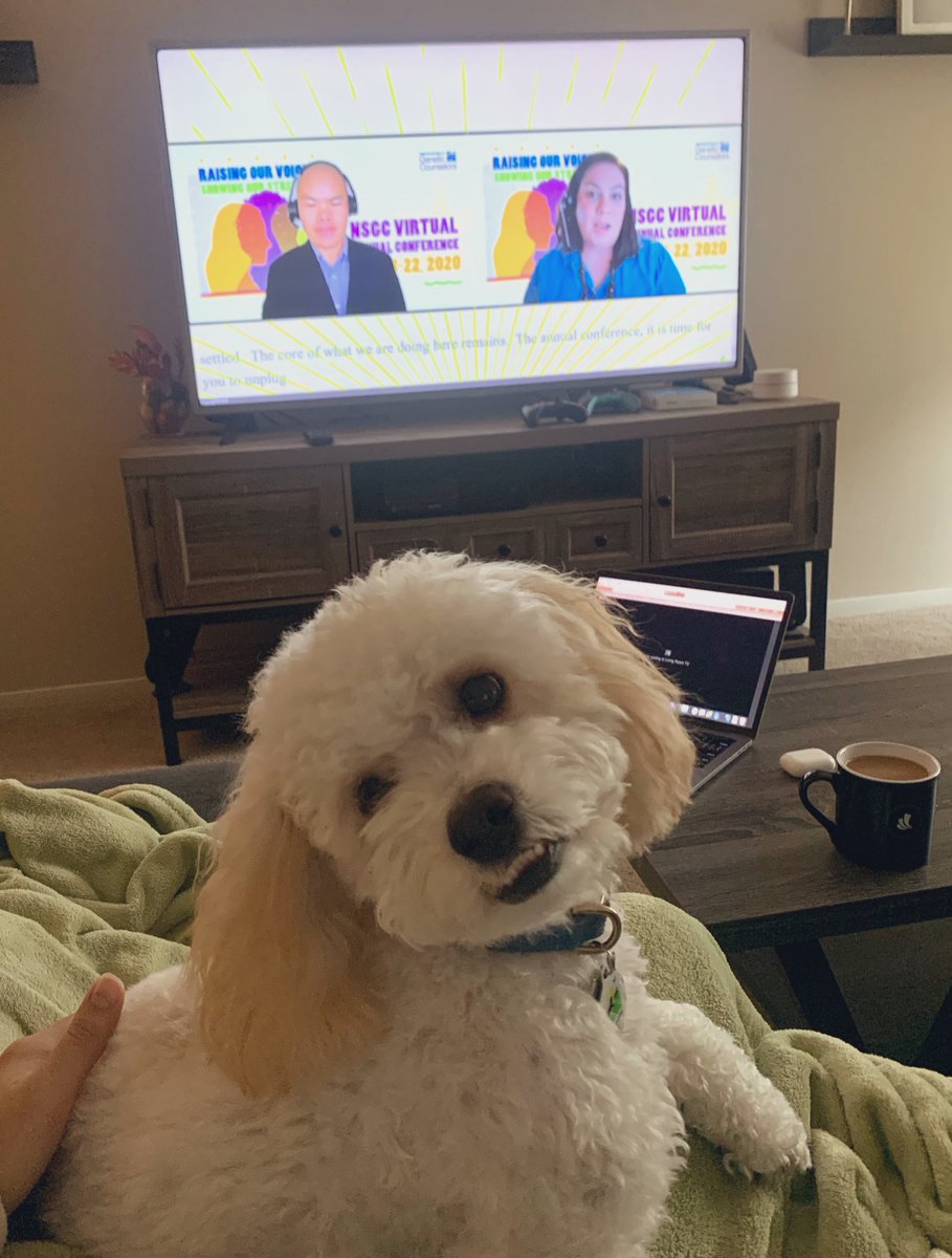 Someone is very happy that #NSGC20 is virtual this year. #GCpets