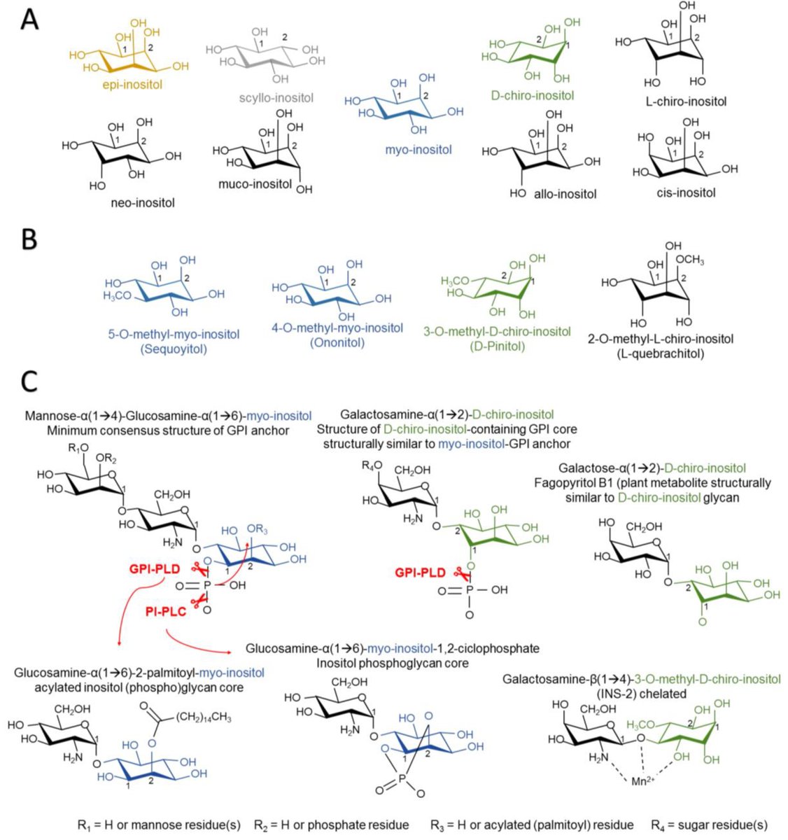 emtanaka's tweet photo. Read more about dietary supplements for neurodegenerative diseases here: https://t.co/5vnqUcVqkH #Alzheimer #dementia #matabolic #diet #supplement https://t.co/OGrkc3M2Lv