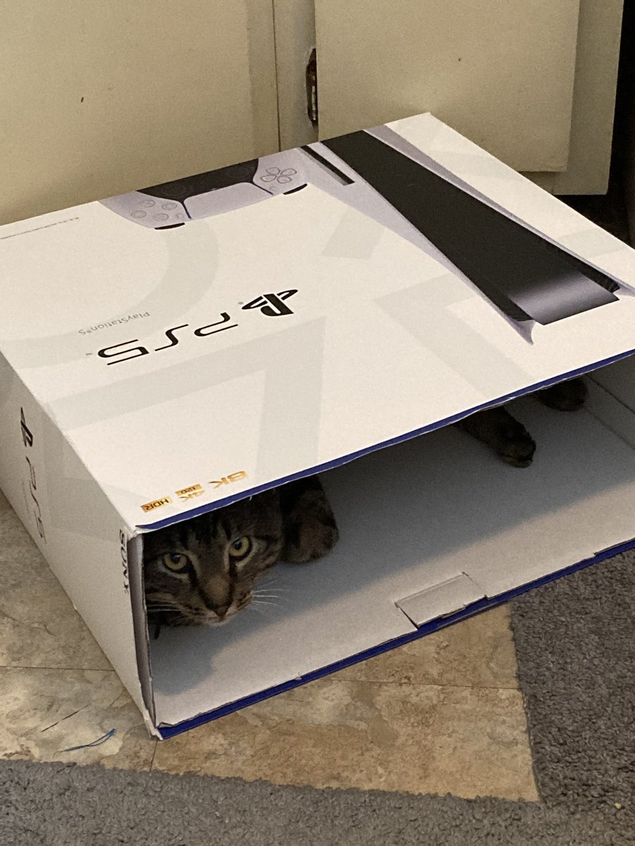 RegisComedy's tweet photo. @Sony Thank you for giving my cat a home https://t.co/3NJ3WIub00