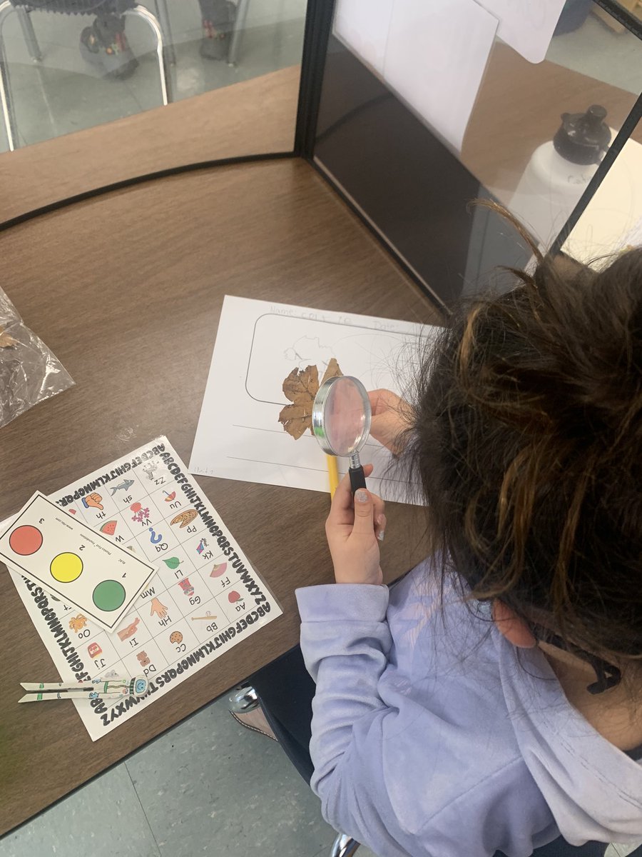 LyncrestSchool's tweet photo. Kindergarteners looking closely to add to their pictures and labels for their leaves! @RiebesellS #lyncreststars https://t.co/2z44jw3x9F