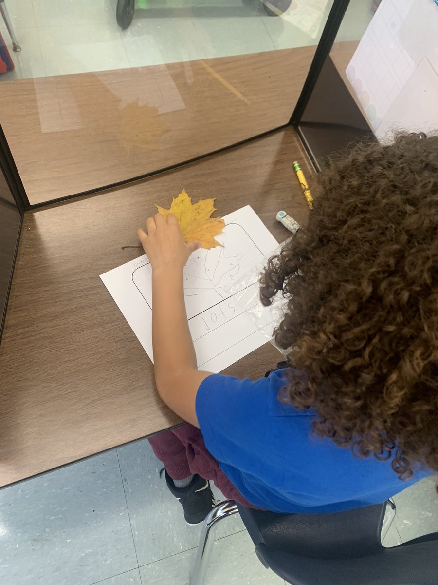 LyncrestSchool's tweet photo. Kindergarteners looking closely to add to their pictures and labels for their leaves! @RiebesellS #lyncreststars https://t.co/2z44jw3x9F