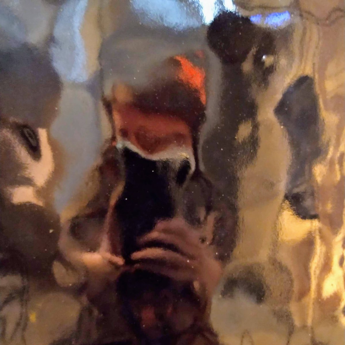 Distorted reflections in the dark ceramic surfaces of <a href="/west_adrift/">Tana West</a>'s Through a Glass Darkly result in unusual selfies! Part of Jerwood Makers Open, currently behind closed doors, but staying at <a href="/2021VisualArts/">2021 Visual Arts</a> til 2 Jan 2021. Follow us for up to date info on opening. @JerwoodArts