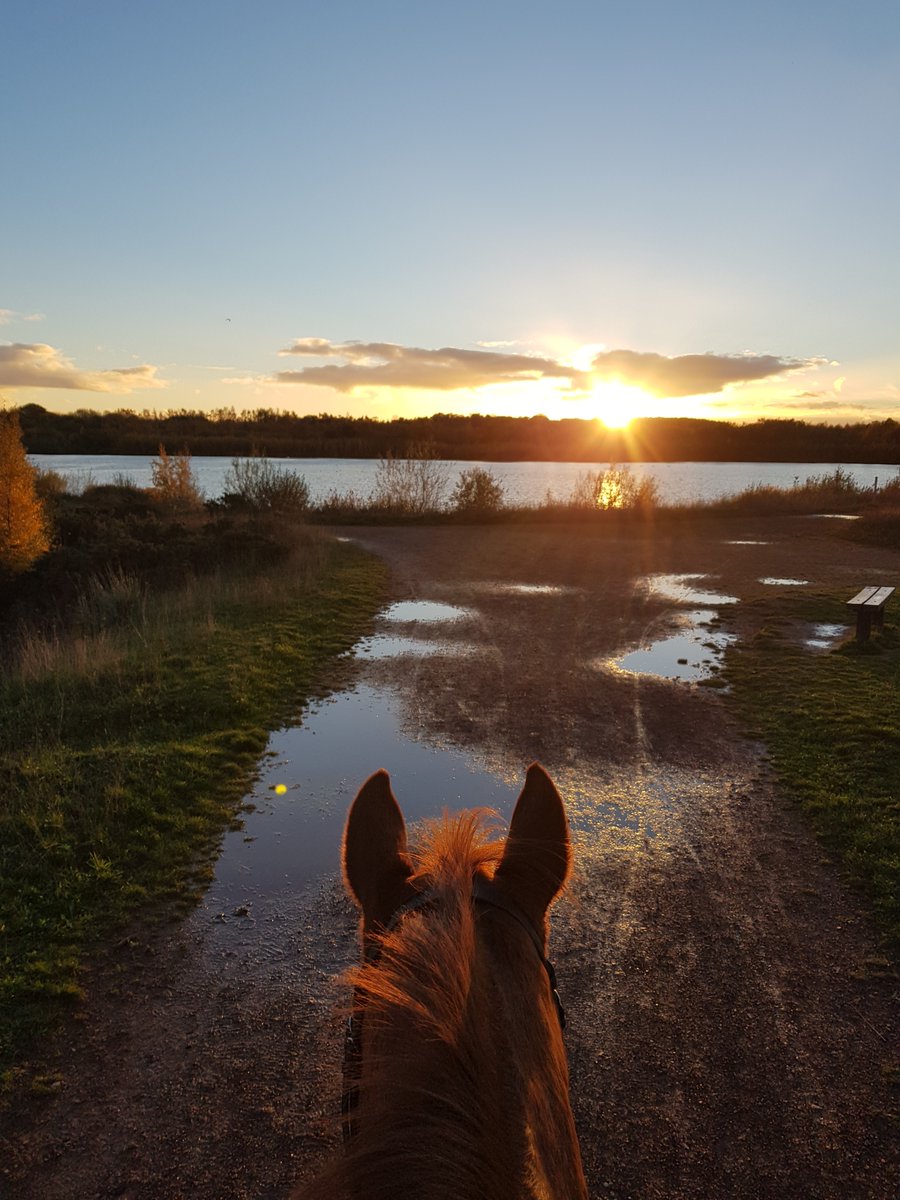 RavenhallRural's tweet photo. At the end of a long day in the office, Julia from the #RuralTeam likes to visit her horse Poppy and take her for a ride.
How do you unwind after a tough day?
#RavenhallRural #EquestrianBusiness #HorseRiding #HorseLife #InsuranceBroker #EquestrianInsurance https://t.co/s2Yr3PF2Mp