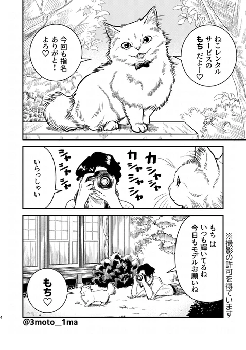 新刊「ねこレンタルサービス3」の試し読みがこちら?#COMITIA134 #コミティア134新刊 #猫漫画 