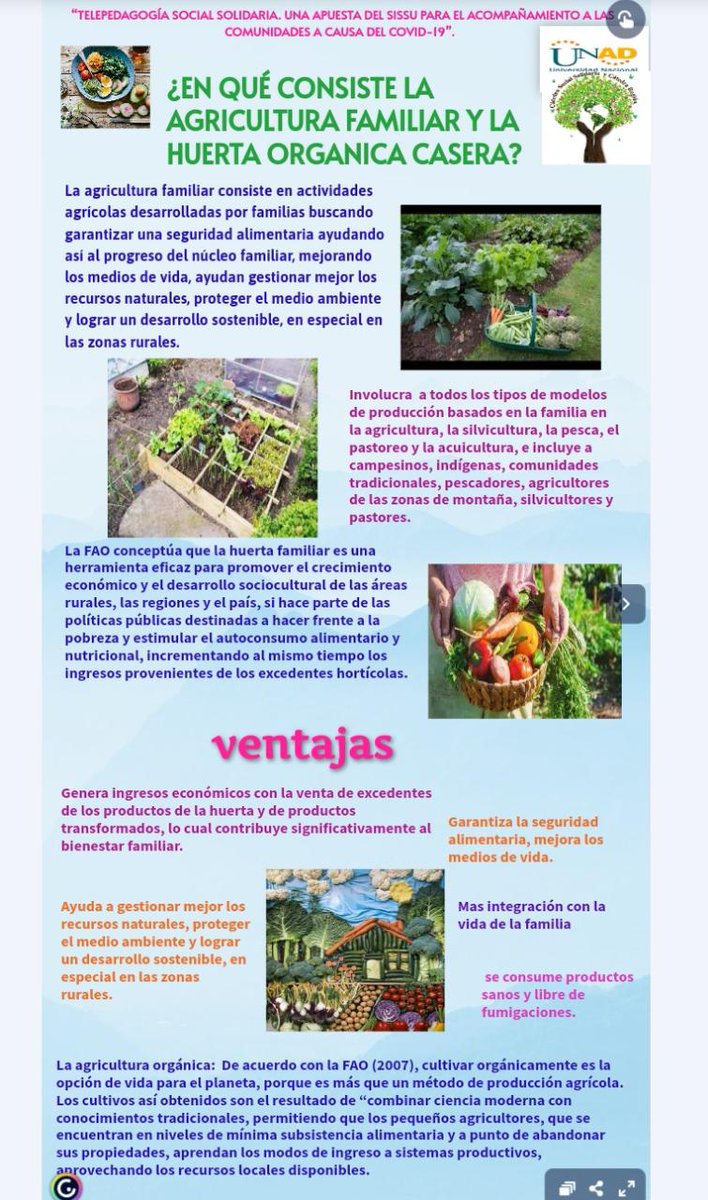 Diana fajardo tweet media