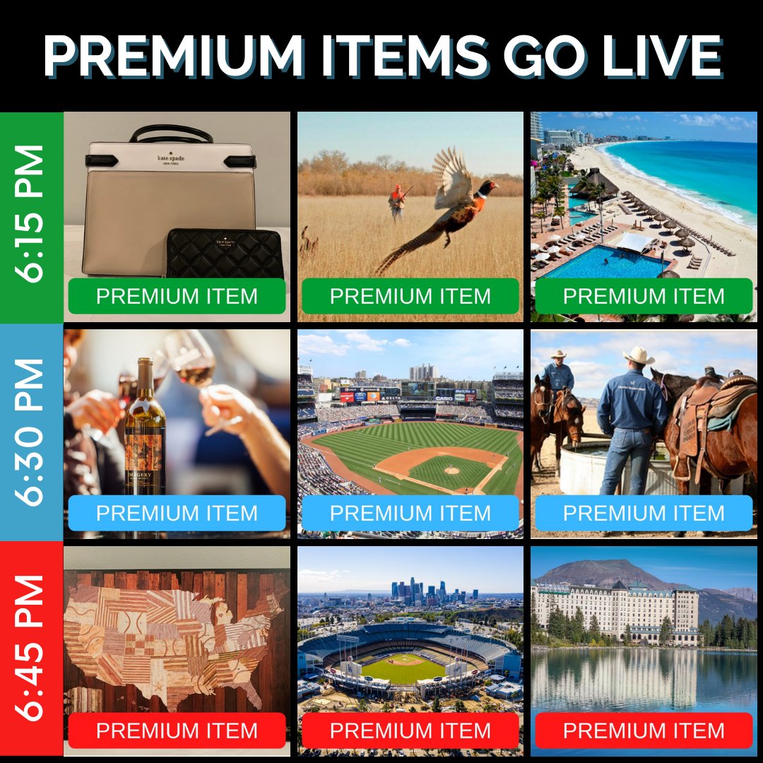 Tonight starting at 6:15PM, we will open our Premium Auction featuring everything from a new Kate Spade handbag + wallet, a New York Yankees trip and even a 5-night stay in Cancun! View all details online at HKRF20.GiveSmart.com.