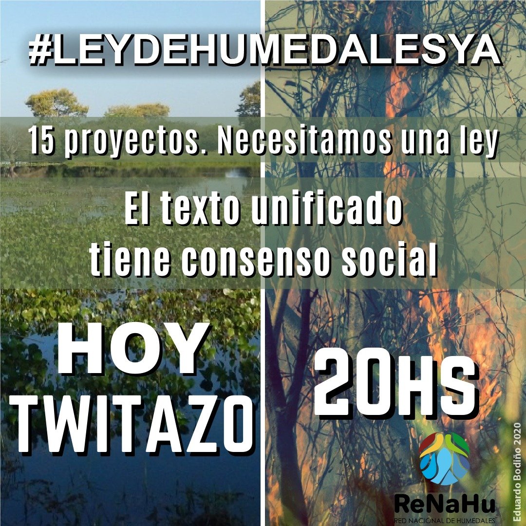 MarioRovina's tweet photo. #Leydehumedalesya https://t.co/eo45Jq7TZb