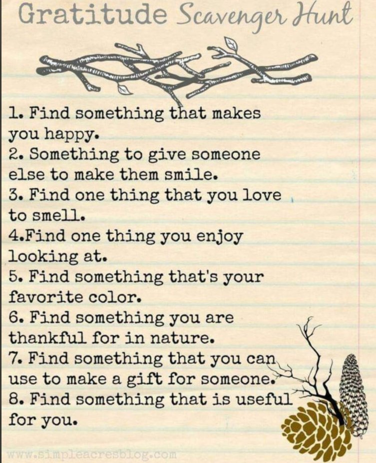 We raked wet autumn leaves and felt the rain in them as we bagged them up; collected acorns from our oak tree; and stripped leaves off scented rosemary branches to grow and smell the scent of their oils on our hands whilst propagating more. <a href="/simpleacresblog/">Simple Acres</a>