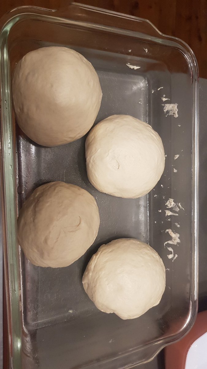 2 tage sind sie jetzt alt... ob sie morgen schon reif sind?