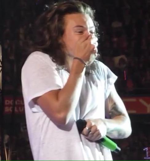 Harry and Zayn as eachother a very powerful thread 