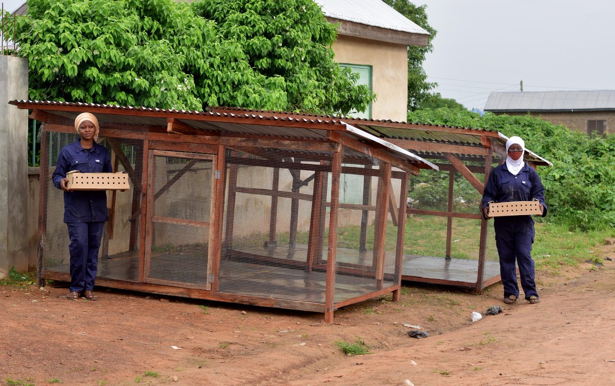llysa200's tweet photo. With support from @MastercardFdn @youngafricawks, @Camfed is setting the young women on the course of economic independence by facilitating their skills training and providing startup kits. 

When women are economically empowered, the benefits to society are enormous. https://t.co/6jqkFufjKZ