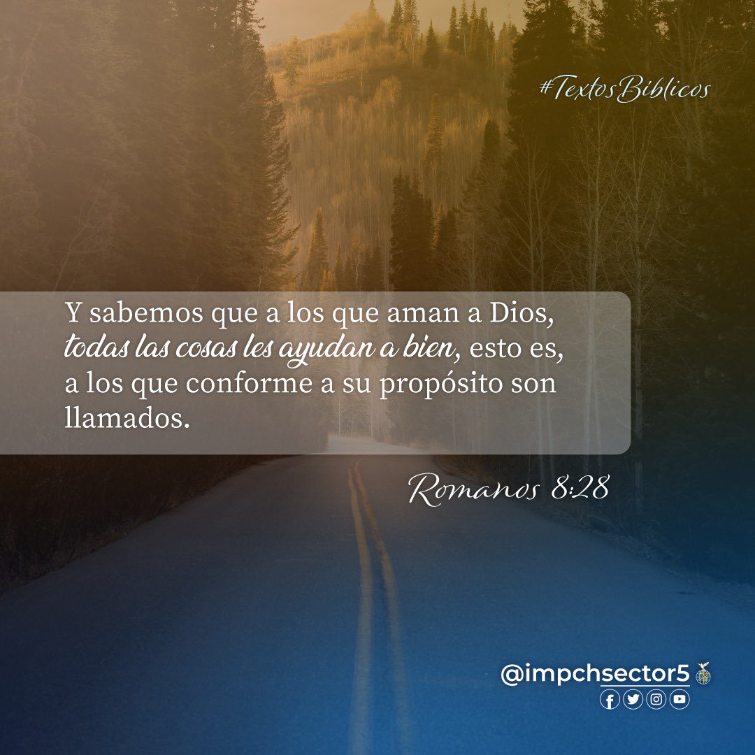 impchsector5's tweet photo. #Textos Bíblicos Romanos 8:28  Y sabemos que a los que aman a Dios, todas las cosas les ayudan a bien, esto es, a los que conforme a su propósito son llamados. https://t.co/dIi86dlJ5l
