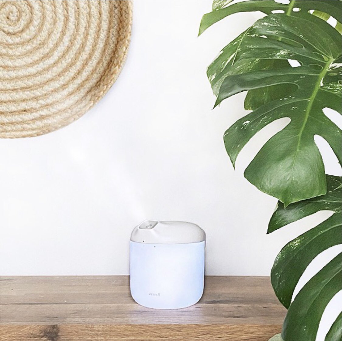 purewithsaldore's tweet photo. A beautiful subtle glow; powered by mains, or even your laptop ⚡️💻     Raising humidity levels at home is not just great for plants, but for us too! Find out more - https://t.co/lCdVhzGKmB 🌱🤍 #plants #humidifier #health #monstera #wfh #gift #skincare #SmallBusiness #selfcare https://t.co/agZ9WiW1cz