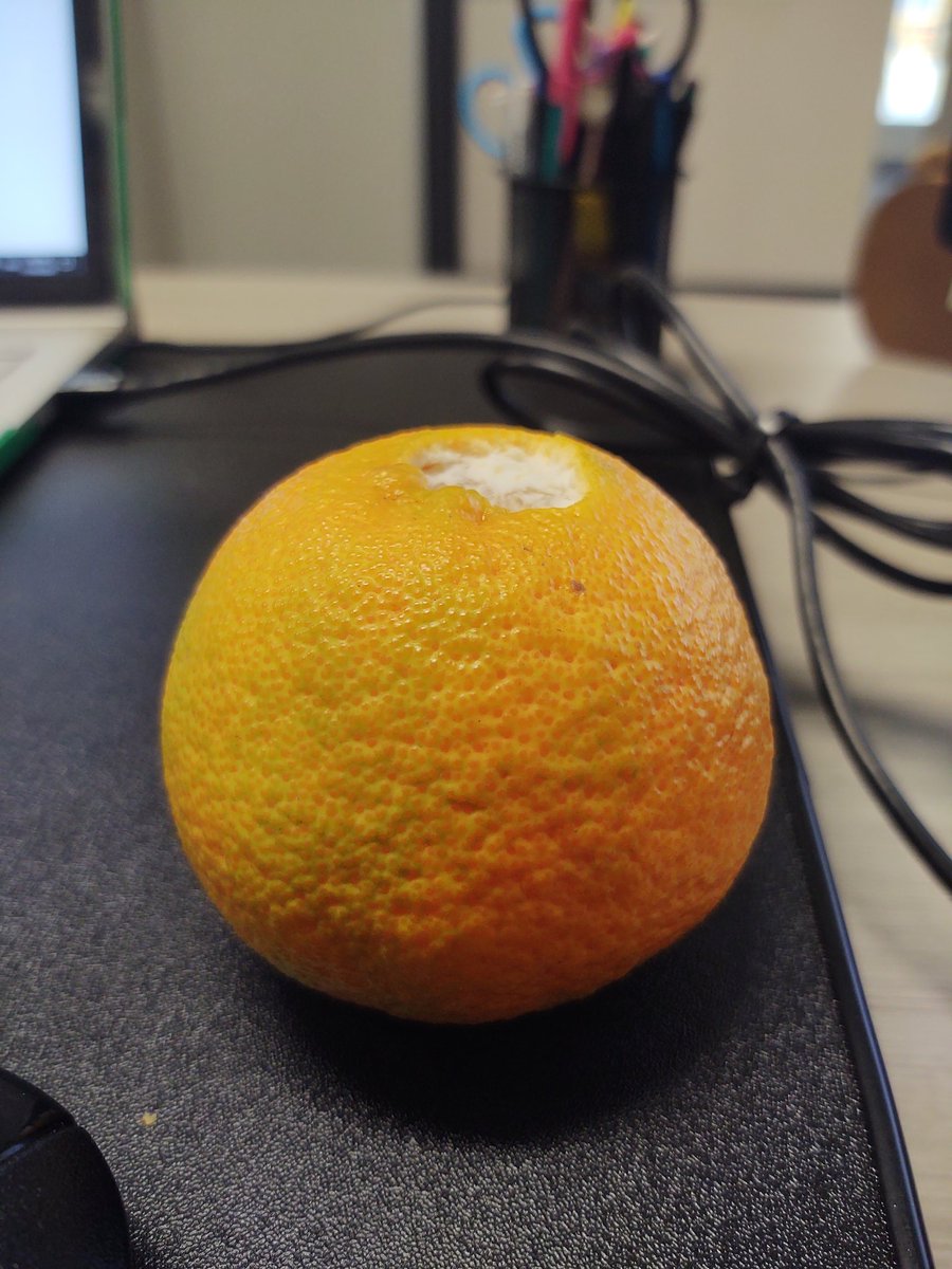rt_eagles's tweet photo. Presenting our first orange tangerine 🍊 🍊🍊 of the year. #think_possible https://t.co/ltBEaJe3Vt