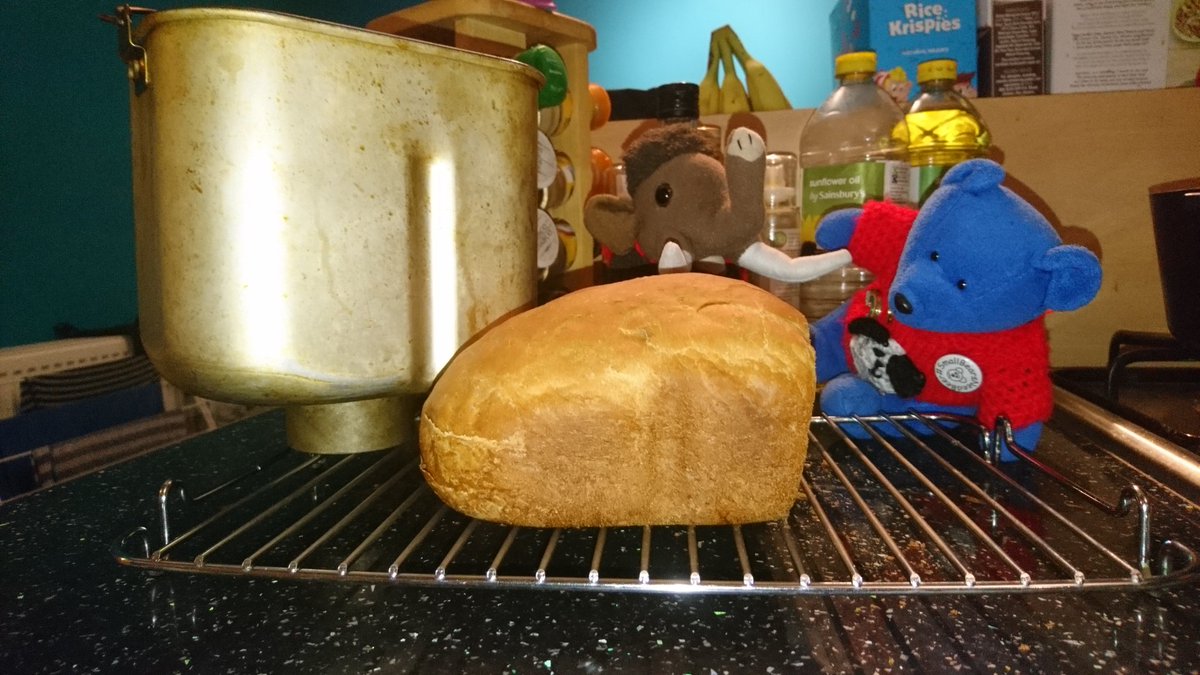 RedditchMammoth's tweet photo. 'Um, I'm not sure it was meant to be this flat, Milly. Usually the bread machine makes bread bigger than me.' 'Might be because you used an out of date bread mix, Blueberry.' 'Only slightly out of date. Still *munch* tastes okay though *munch*. #bakingdisasters https://t.co/uSSQFjSJVR