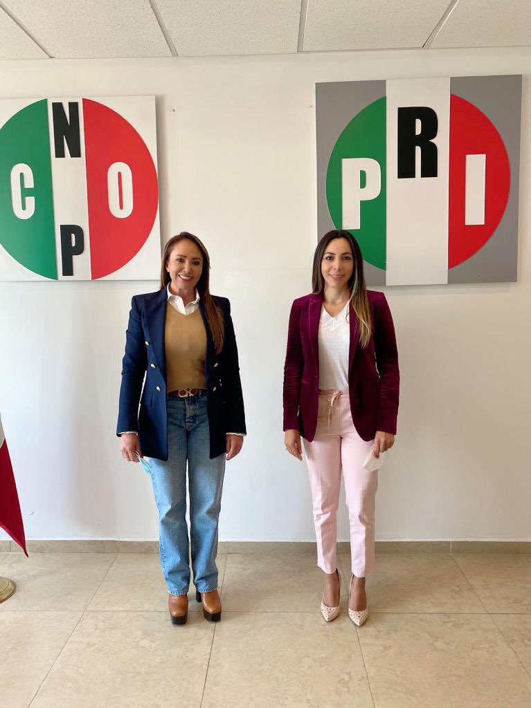 yulmarocha's tweet photo. Es muy motivante saber que en las encomiendas partidistas haces  equipo con mujeres como @CristinaRuiz_S con vocación y convicción; fue un gusto saludarte Secretaria en la @CNOP_Guanajuato estamos estamos trabajando para hacer de nuestro partido una opción para los ciudadanos. https://t.co/1XLwHbJdnD