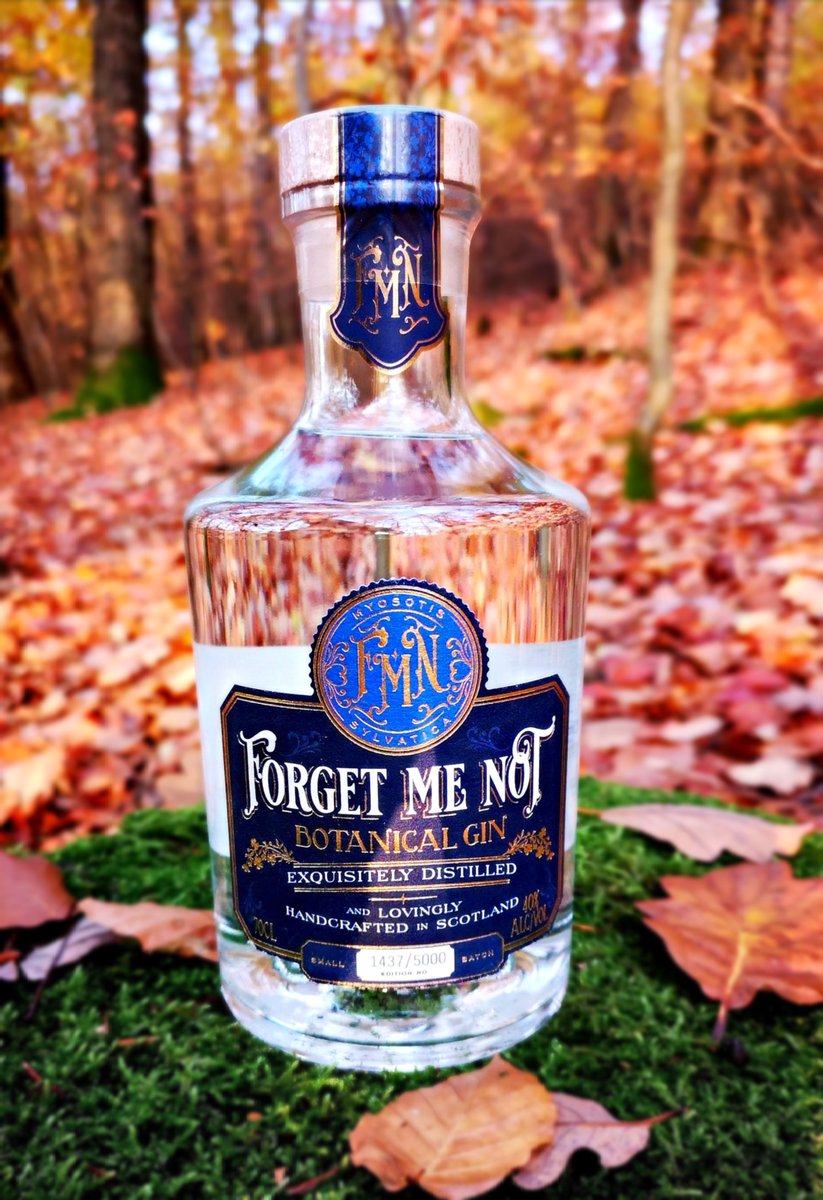 Forget Me Not tweet media