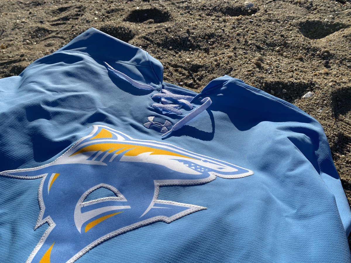 MikeGrinnell_'s tweet photo. LIU Is Going To Take Over College Hockey With These New Jerseys https://t.co/QdqySr7ACy https://t.co/6kKyFD7G6Q