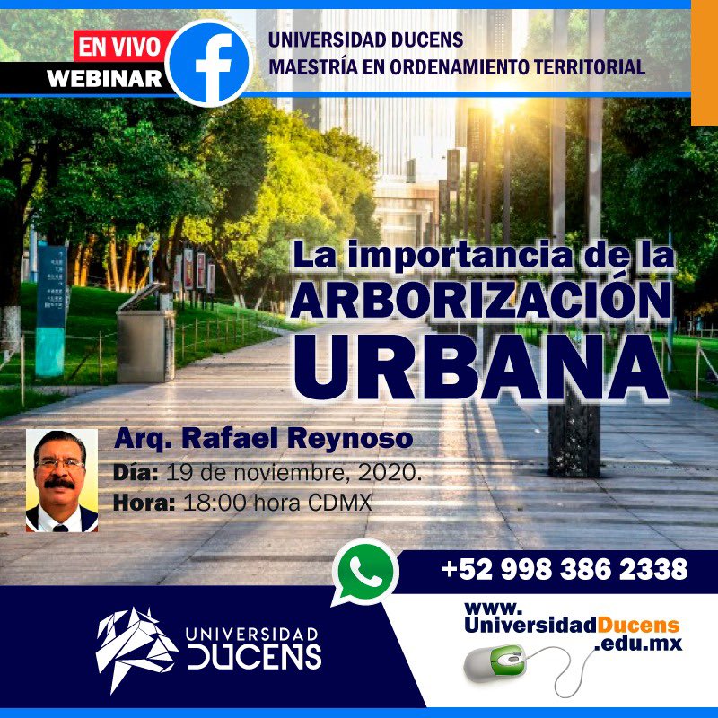 AmaSureste tweet media