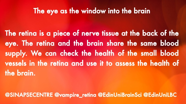 EdinUniLBC's tweet photo. Meet Sam Gibbon, a new PhD student on our team! 

Sam will work with Dr Tom MacGillivray @EdinUniBrainSci and Prof Emanuele Trucco @dundeeuni to study how changes in the #retina relate to #cognitive decline.

Welcome on board, Sam!

@gibbon_samuel @SINAPSECENTRE @vampire_retina https://t.co/UM2iF0XNKK