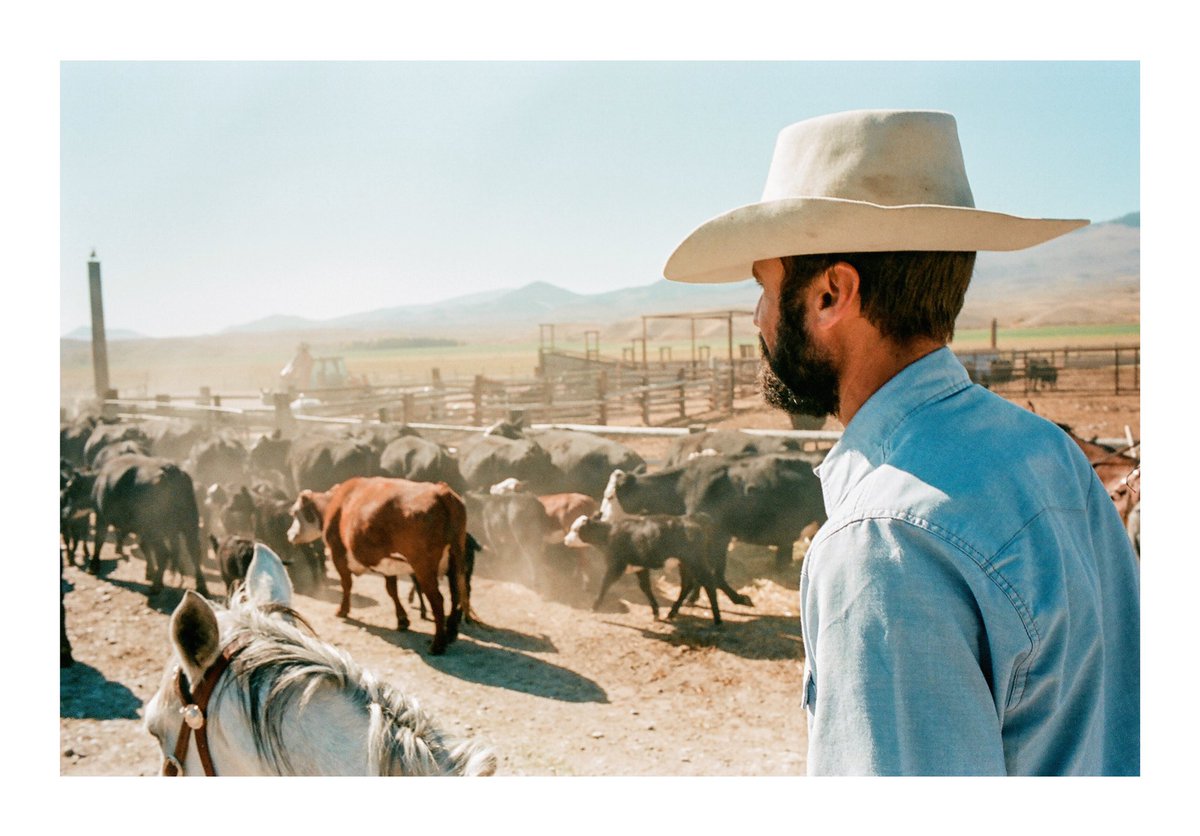 ioegreer's tweet photo. life on the ranch in glen, mt #leicam6 https://t.co/YpuhYMshIr