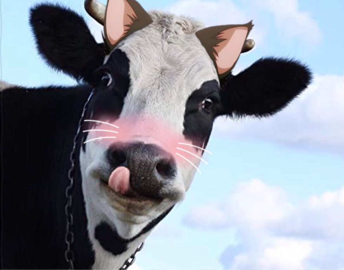 cows as catgirls: a thread