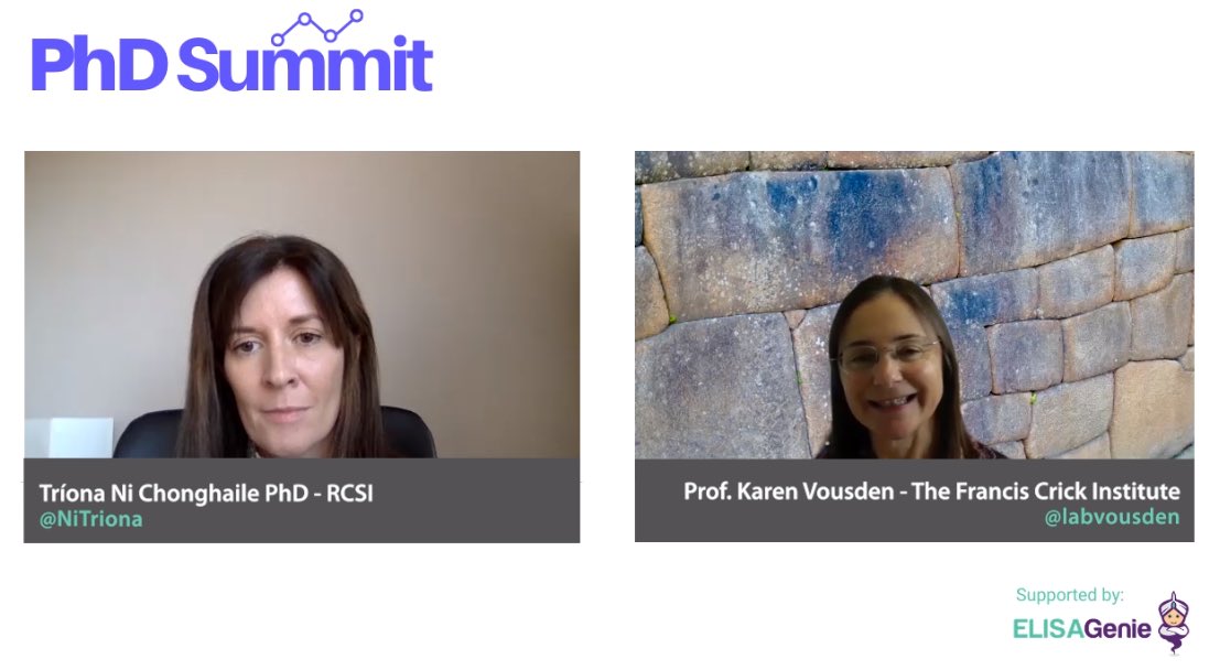 PhD Summit tweet media