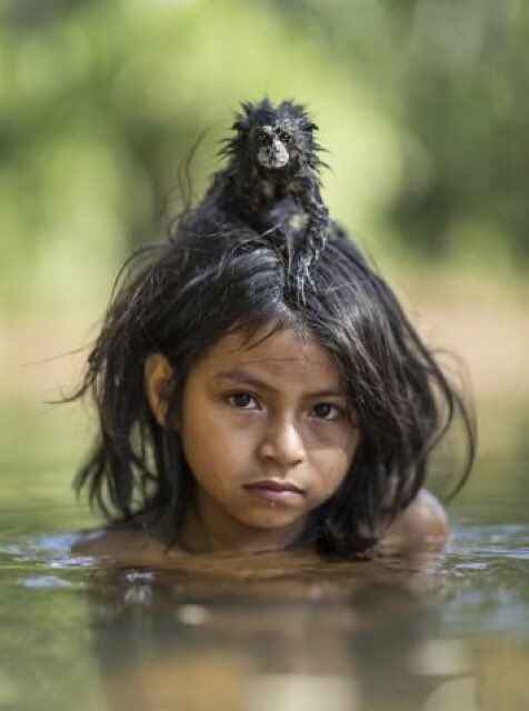 onursal_nilufer's tweet photo. #PerfectlyTimedPhotos #RealLife #Photography β¨ππ»β¨ππΌπ https://t.co/CVSE8QvL7U