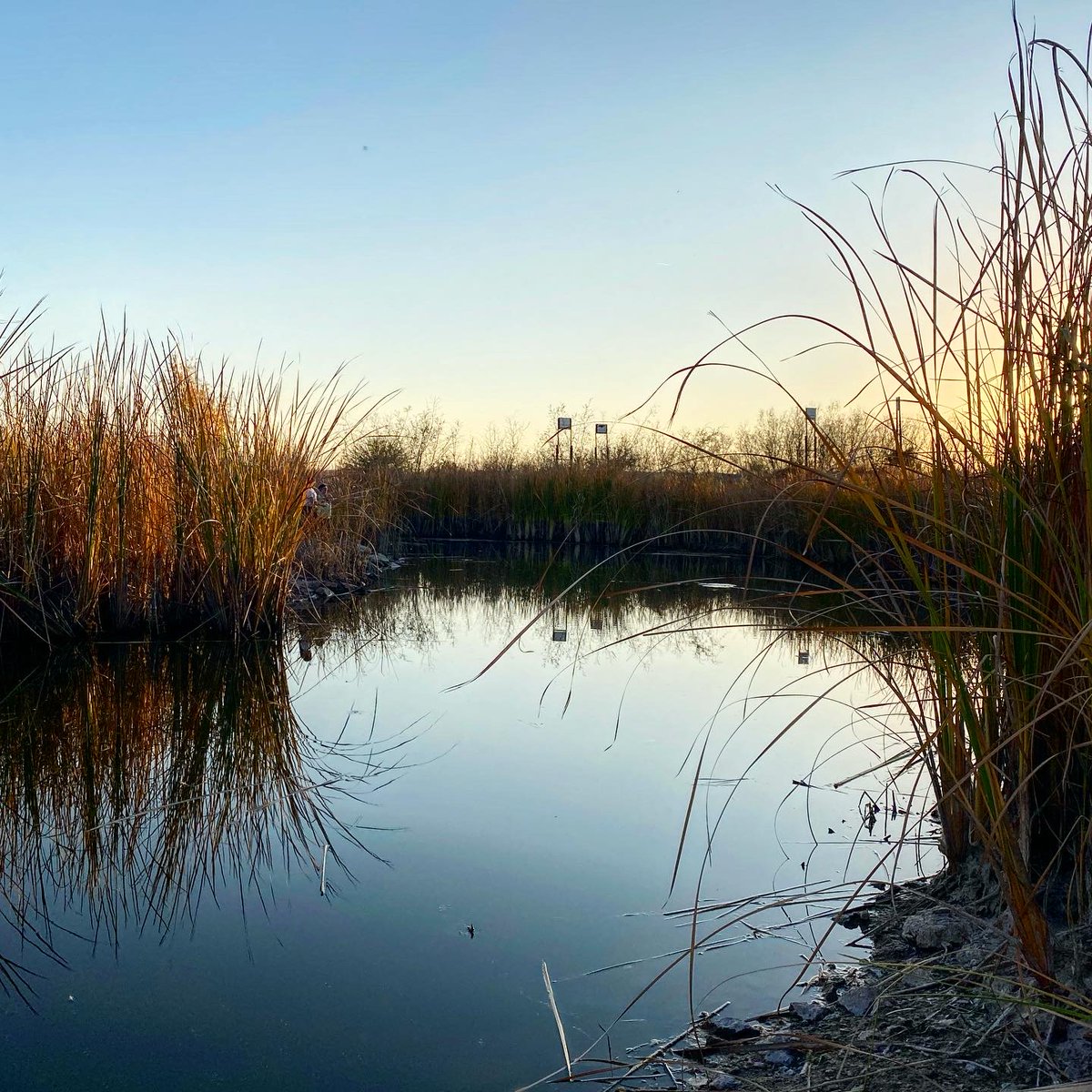 NuestraTierraNM's tweet photo. Great news! We're in the process of acquiring a small, private wildlife refuge along the Rio Bravo to create the Nuestro Rio education and learning center, with a focus on programming for underserved youth. It's important for our gente to experience a living river. #NuestroRio https://t.co/88m6rkBhMS
