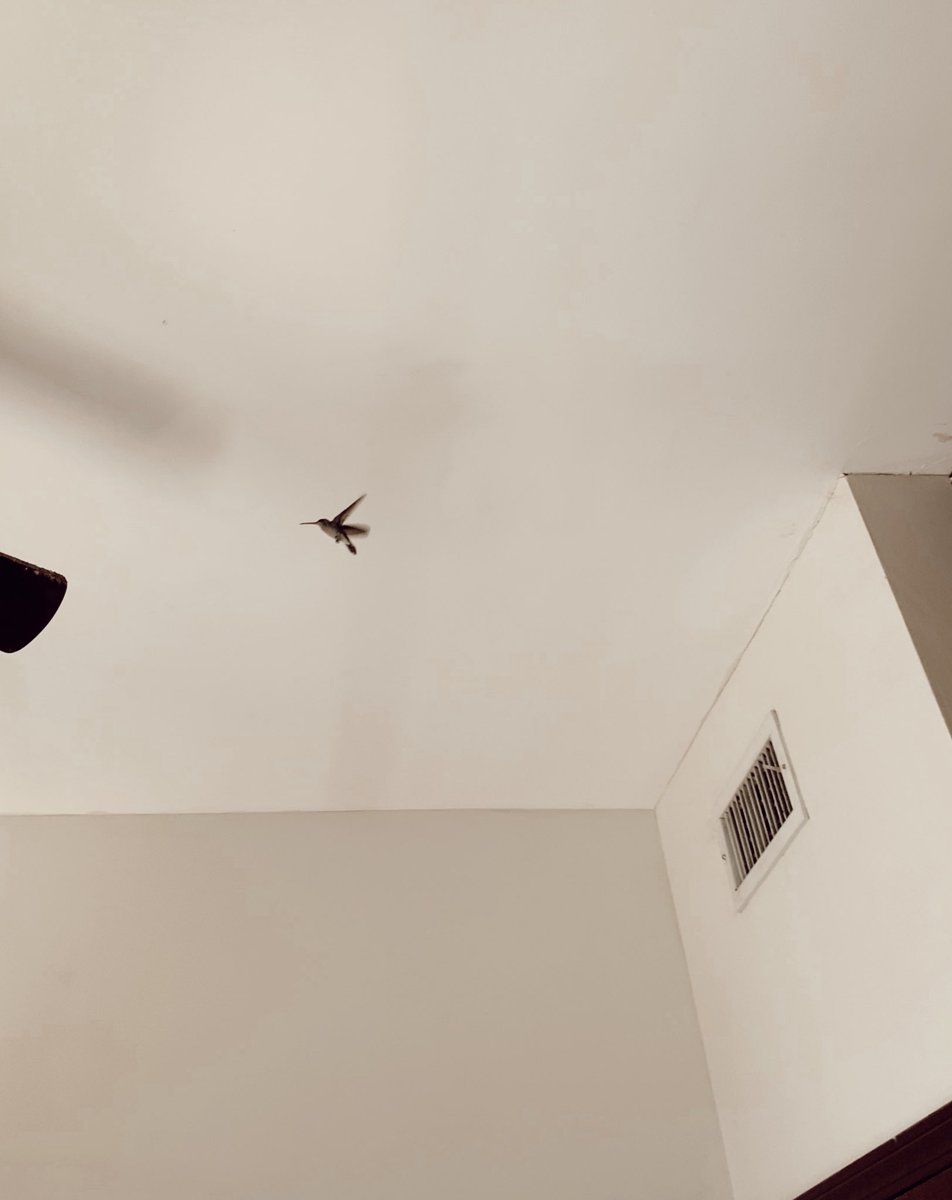 Jacqueline tweet media